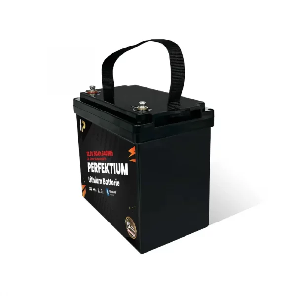 Perfektium PB SERIES Batterie au lithium LiFePO4 12,8V 50Ah Smart BMS avec Bluetooth-5