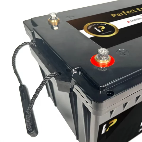 Perfektium PB SERIES Batterie au lithium LiFePO4 12,8V 200Ah PRO Smart BMS avec Bluetooth-PB-12-200-PRO-9