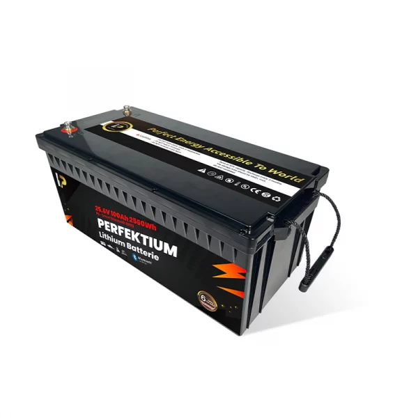 Perfektium PB SERIES Batterie au lithium LiFePO4 25,6V 100Ah PRO Smart BMS avec Bluetooth-PB-24-100-PRO-4 Perfektium PB SERIES Batterie au lithium LiFePO4 25,6V 100Ah PRO Smart BMS avec Bluetooth-PB-24-100-PRO-4