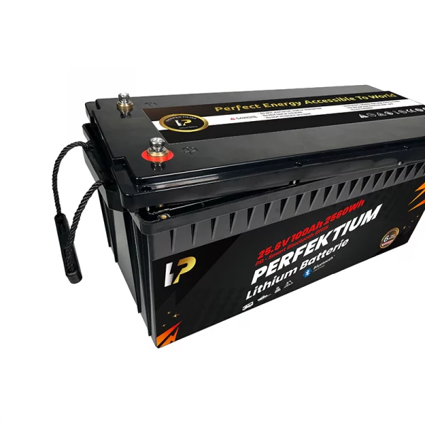 Perfektium PB SERIES Batterie au lithium LiFePO4 25,6V 100Ah PRO Smart BMS avec Bluetooth-PB-24-100-PRO-5 Perfektium PB SERIES Batterie au lithium LiFePO4 25,6V 100Ah PRO Smart BMS avec Bluetooth-PB-24-100-PRO-5