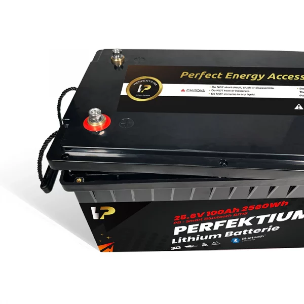 Perfektium PB SERIES Batterie au lithium LiFePO4 25,6V 100Ah PRO Smart BMS avec Bluetooth-PB-24-100-PRO-6 Perfektium PB SERIES Batterie au lithium LiFePO4 25,6V 100Ah PRO Smart BMS avec Bluetooth-PB-24-100-PRO-6