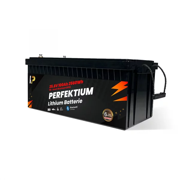 Perfektium PB SERIES Batterie au lithium LiFePO4 25,6V 100Ah PRO Smart BMS avec Bluetooth-PB-24-100-PRO-8 Perfektium PB SERIES Batterie au lithium LiFePO4 25,6V 100Ah PRO Smart BMS avec Bluetooth-PB-24-100-PRO-8
